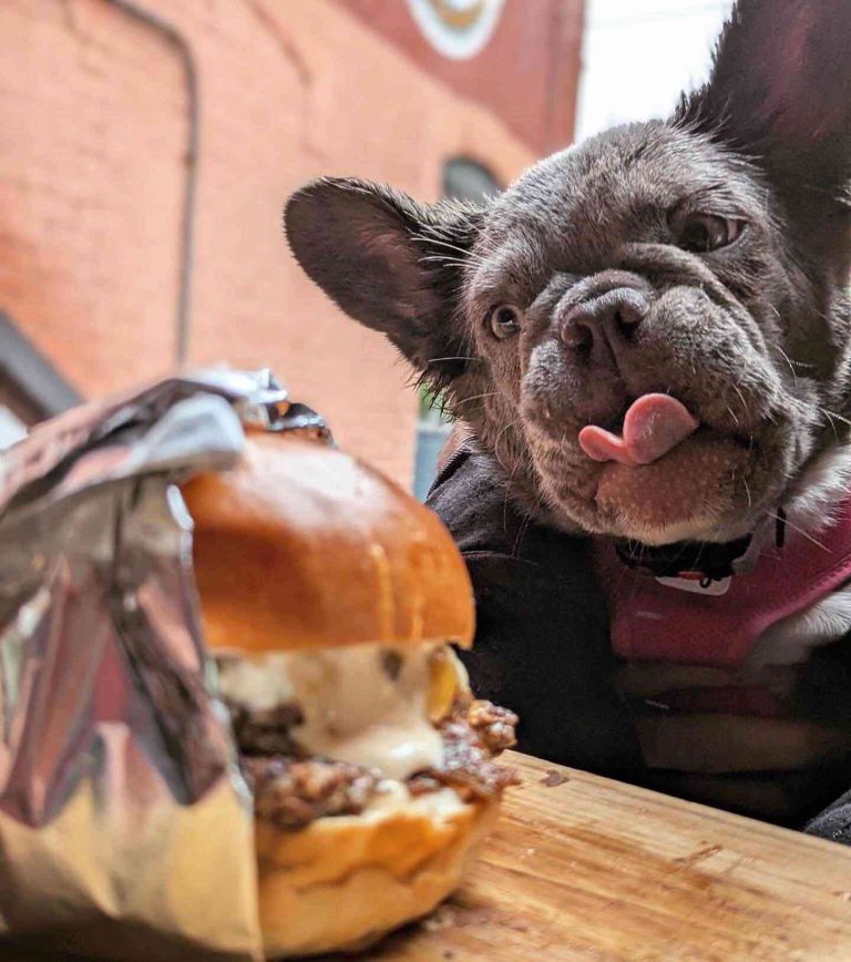 Maximizing Your Blog’s Reach: SEO Tips for Bloggers